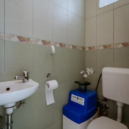 Vadrozsa Nagykanizsa