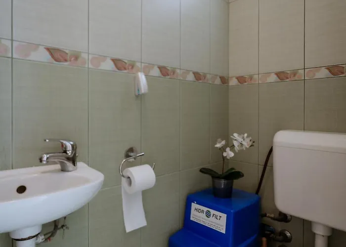 Vadrozsa Nagykanizsa